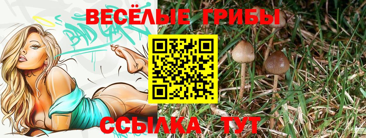Галлюциногенные грибы мухоморы Югорск