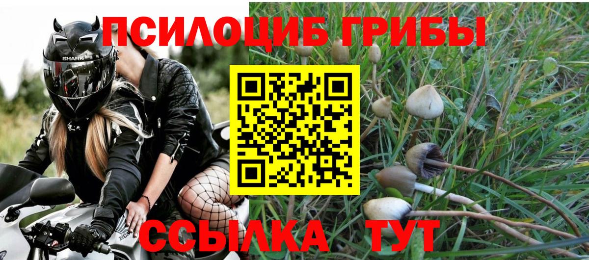 Псилоцибиновые грибы GOLDEN TEACHER  Вход с VPN  Югорск 